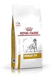 Trusted: Wir sind ein vertraute Partner bei Royal Canin