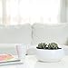 MyGift 8.75 Inch Round White Ceramic Planter - Indoor Gardening Planters for Flower, Cactus, Succulent Plants with Drainage Hole