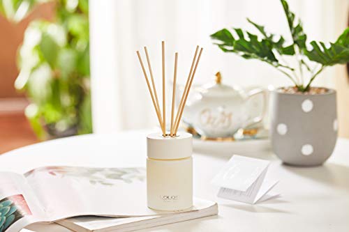 Lalata Fragrance Reed Diffuser Essential Oil Clementine Mandarin Citrus Scent In Gift Box, Natural Scented Long Lasting Fragrance Oil For Aromatherapy And Air Freshener #TOP3
