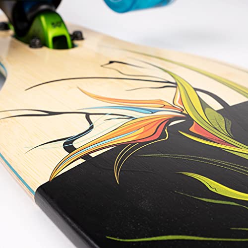 Sector 9 Longboard Complete Bamboo Lei Lookout Drop Through 9.625" X 41.125" #TOP3
