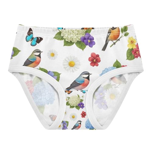 Colorful Birds Undies for Toddler Girls, Girls Panties, 2T–8 Years