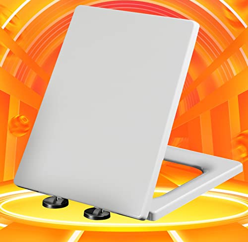 Tapa Wc Roca Giralda Pergamon Marca SDVantage