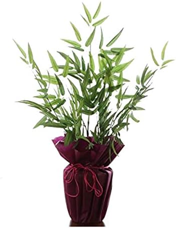 山久 造花 七夕の願い事飾りに 笹竹の鉢植え サイズ75cm Ct触媒加工 0906 7858 Ing シルクフラワー Sale 76 Off