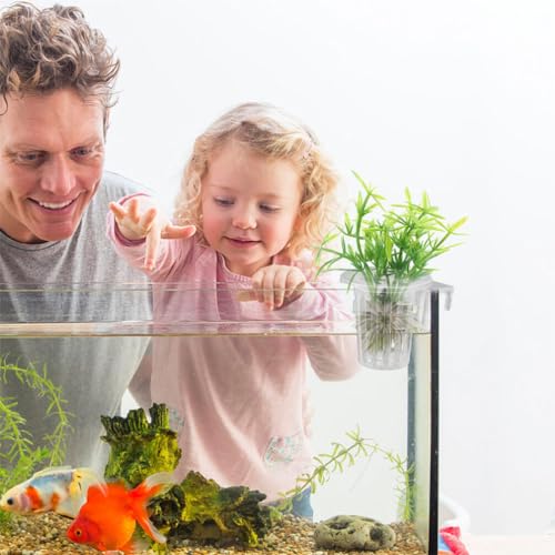 Image of FRCOLOR 4Pcs Hanging Aquarium Plant Holder with Suction Cups Fish Tank Planter Cup for Plants Promotes Water Circulation and Plant Growth