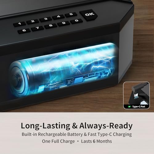 XEGIS Safe AI Smart Palm Vein Gun Safe Review