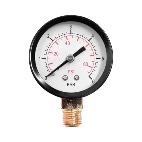 Manómetro de 0 a 6 bar 50mm BRICOFERR