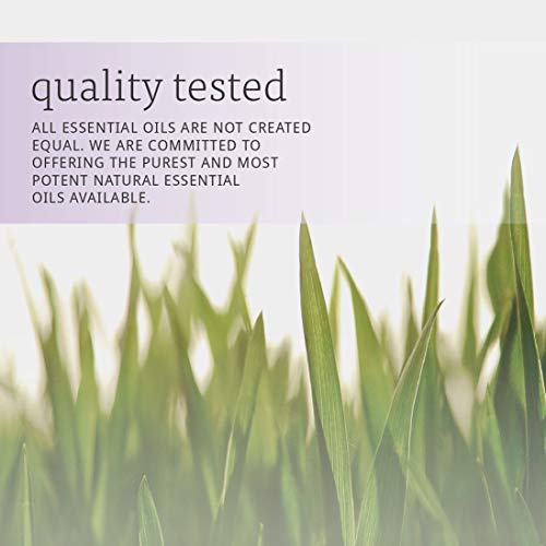 Aceite de Lemongrass NOW Essential Oils 1 oz miniatura 7