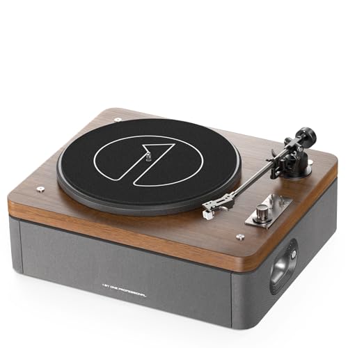 1 by ONE Record Player