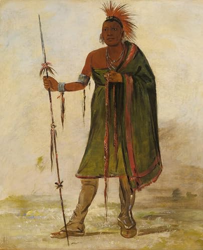 Affiche George Catlin graffiti pour sublimer votre salon moderne