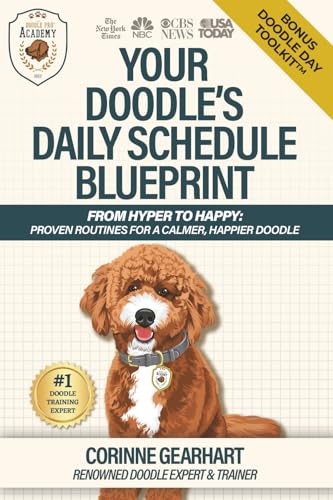 Your Doodle's Daily Schedule Blueprint: From Hyper to Happy: Proven