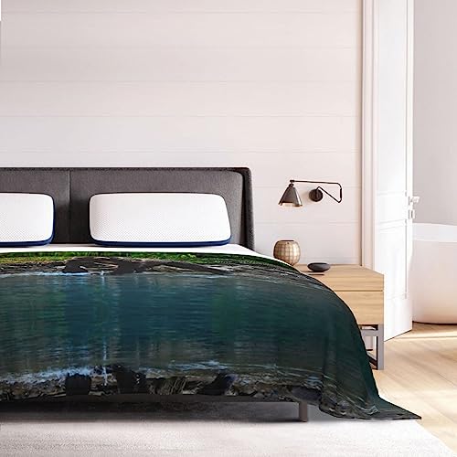 Couverture ours marron en peluche réversible pour lit et canapé - 8