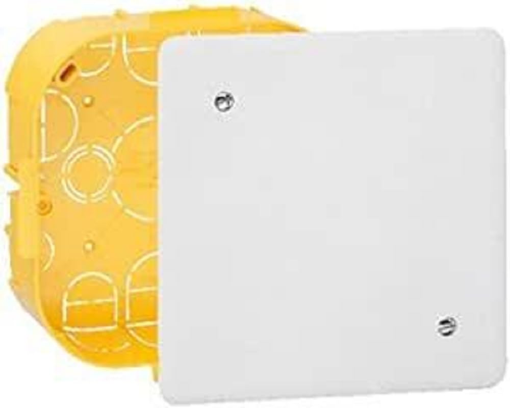 Legrand LEG91995 Junction Box with Plaque + Screws for Cavity Walls 160 x 105 mm Depth 40 mm, Multicolored, 160mm x 105mm