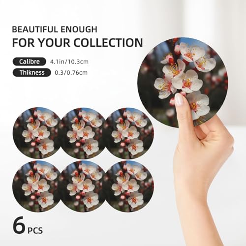 Dessous de verre en liège et céramique premium, protection de table durable