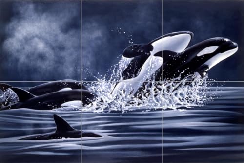 Ceramic Backsplash Tile Mural Dolphin Whale Underwater Ocean Fish Kitchen/Bathroom/Shower - Orcas 2 - Laura Regan