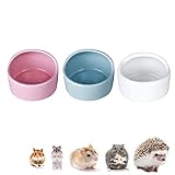 3 Stück Hamster Keramik Futterschalen,Hamster Feeder,Anti-Biss,Meerschweinchen, Geschirr, Rennmaus Eichhörnchen, Feeder, Essbecken(Zufällige Farbe)