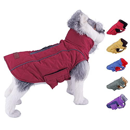 The 10 Best Winter Jackets For Bulldogs Dog Fluffy