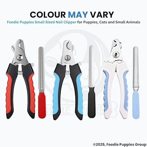 Image of Foodie Puppies Professional Animal Nail Cutter Clipper Trimmer Filer - (Nail Clipper - Small) for Small Dogs, Puppies, Cats, and Kittens Claw Grooming Tool Set (Colour May Vary)