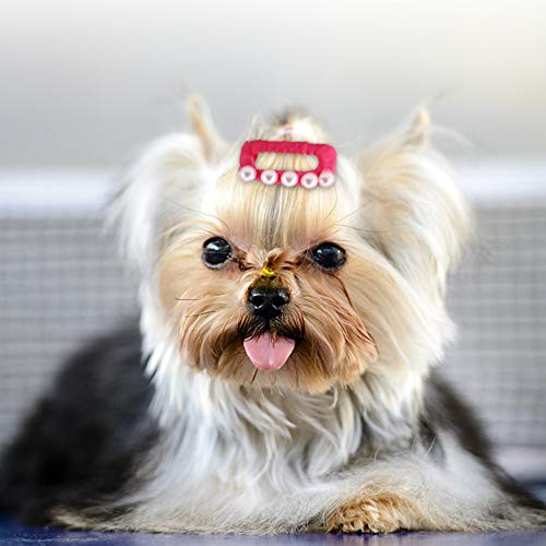 最安値 Pssopp ペットヘアピン ペット髪飾り 猫用髪飾り 犬用髪飾り ペット 髪 アクセサリー 頭飾り 猫犬ヘアークリップ ペットの髪 犬の髪 ペットグルーミング アクセサリー 猫のヘアクリップ 犬のヘアバンド 猫犬 ペット用品 ギフト用 10個入れ ランダムカラーの価格比較