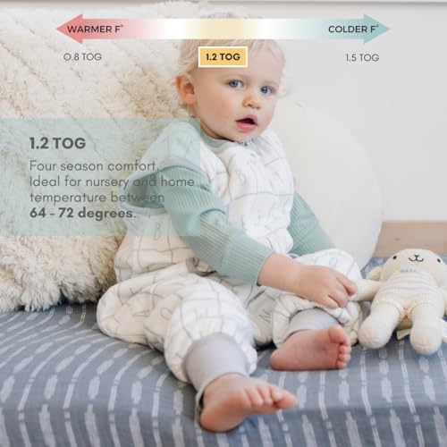 Image of Tealbee Dreamsuit Toddler Sleep Sack with Feet - Walker Sleep Bag with Legs, Rayon made from Bamboo, All Season 1.2 TOG, 2-Way Zipper, 3T-4T - Alphabet