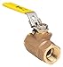 2" FNPT Bronze Ball Valve Inline