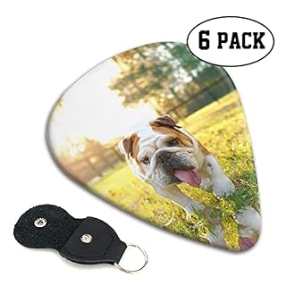 Cute Bulldog Puppy Lot de 6 médiators pour guitare acoustique, guitare électrique, basse, ukulélé – fin, moyen et épais. - Les Beatles, Paul McCartney, John Lennon, RIngo Starr, George Harrison Cute Bulldog Puppy Lot de 6 médiators pour guitare acoustique, guitare électrique, basse, ukulélé – fin, moyen et épais. – Image 2