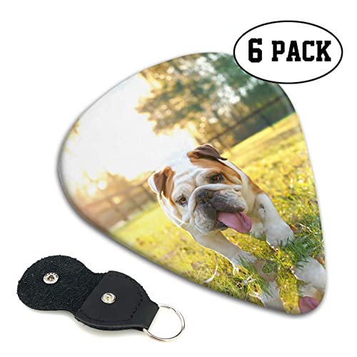 Cute Bulldog Puppy Lot de 6 médiators pour guitare acoustique, guitare électrique, basse, ukulélé – fin, moyen et épais. - Les Beatles, Paul McCartney, John Lennon, RIngo Starr, George Harrison Cute Bulldog Puppy Lot de 6 médiators pour guitare acoustique, guitare électrique, basse, ukulélé – fin, moyen et épais. – Image 3