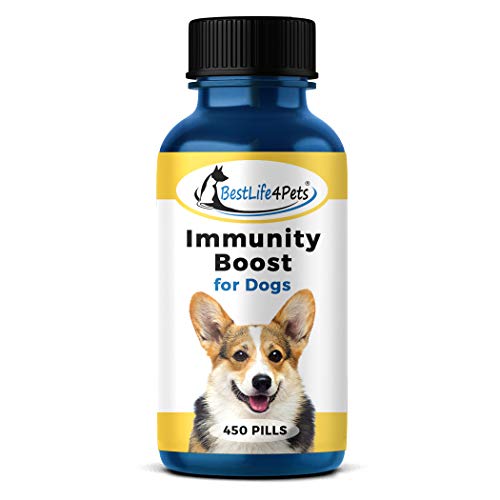 Immunity Boost for Dogs Supplement – Strengthens Respiratory and Immune System, Helps Your