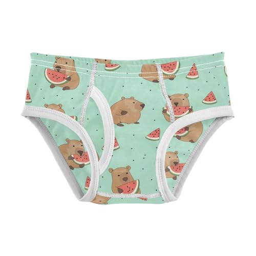 Wusikd Cute Capybara Boys' Underwear Cotton Watermelon Boys Briefs Soft Toddler Underwear 2T
