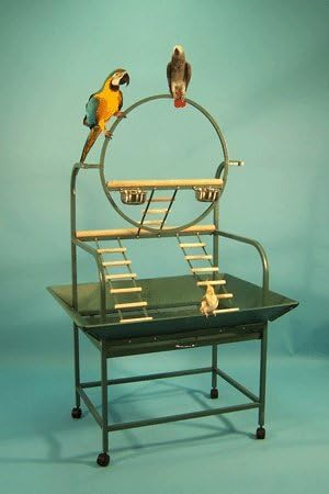 Hanalei Hangout Bird Playstand - 32 1/2" W x 23" D x 66" H - Black Vein