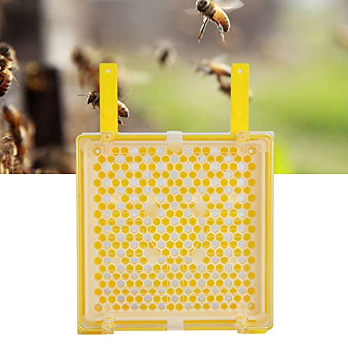 Tomotato Kit de enxerto para criação de abelhas, sistema de criação de abelhas rainha caixa de siste