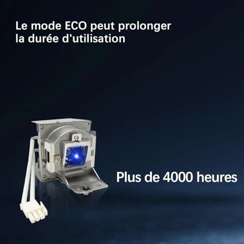 Poxtedsr 5J.J7K05.001 Ersatzlampe für Beamer kompatibel mit BENQ W750, W770ST, mit Gehäuse