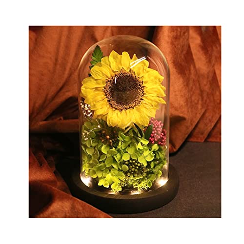 vU[uht[ۑ  vU[uhtoEDCgtKXh[蕨 bsObZ[WJ[hҗj  ԑ Mtg LO v[g  lC a v[gFB  Mtg NX}Xv[gjlC