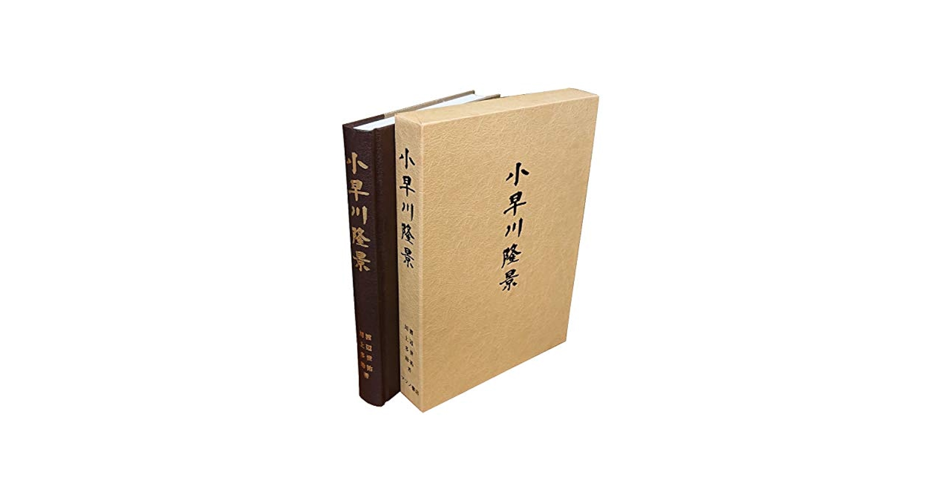 瀬戸の鷹小早川隆景 Amazon.co.jp: 瀬戸の鷹小早川隆景 新装改訂版 : 泉 淳: 本