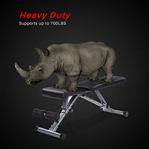 Adjustable Weight Bench Heavy Duty, CheerTran Workout Benches for Home Easy Storage - 700LBS Strength Training Gym Exercise Bench