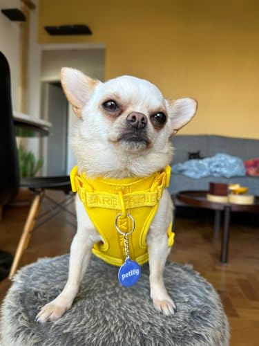 Pet Tag - Plaquinha de Identificação Inteligente para Pets