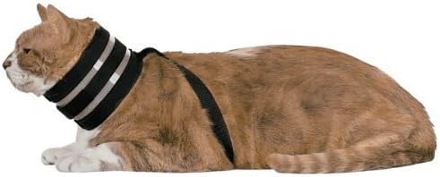 Cat Collar, 3" W x 15" L