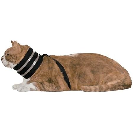 Bite not collar for cats Clearance