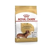 Royal Canin Teckel Adulte 500 GR