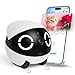 Enabot EBO ROLA Mini FamilyBot,2K Cámara Robot para Mascotas,Cámara Robot para Mascotas móvil con App, Llamada un Toque, Audio 2 vías, visión Nocturna IR, Detector Movimiento y Video
