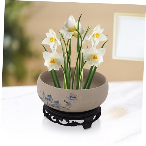 Pot hydroponique pour lotus apportez la sérénité zen dans votre maison - 5