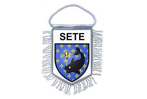 Drapeaux de véhicules personnalisés – Voitures, vélos et événements | France Fanions