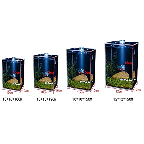 Fish Tabk Piccolo Super Trasparente e Chiaro Pesce Boccia Quadrato Acquario Principale Acquario e Pianta Verde Acqua Acquario Fresco (Illuminazione Blu, M) (Illuminazione Bianca L)