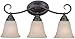 Craftmade 25003-SN Cordova European Vanity Wall Lighting, 3-Light, 300 Watts, Satin Nickel (21"W x 11"H)