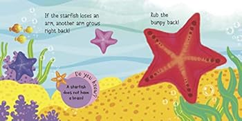 Sea Friends: Touch and Feel series