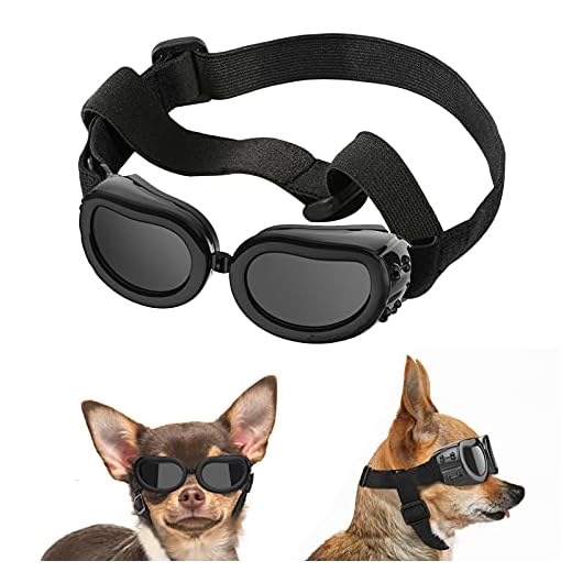 Lewondr UV Schutzbrille für kleine Hunde