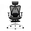 Graphite Black