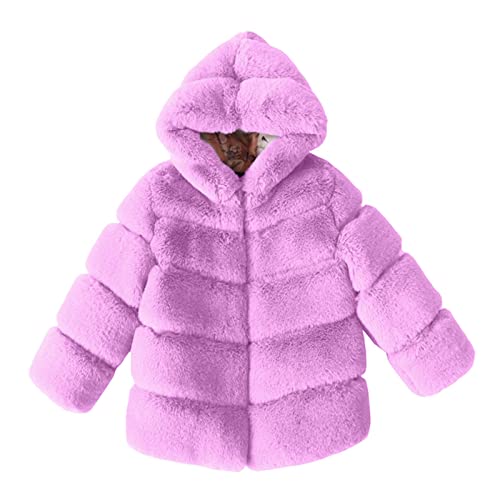Toddler Girls Winter Fleece Hoodie Jacket Zip Up Thick Fluff Long Sleeve Coat Windproof Warm Outerwear