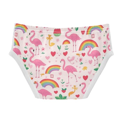 Wusikd Pink Flamingos Boys' Underwear Cotton Rainbows Watermelon Hearts Boys Briefs Soft Toddler Underwear 2T2