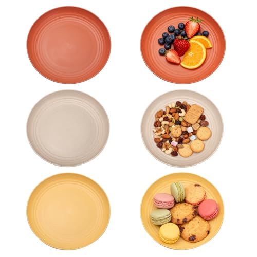 FENGQQKJ 6 Stück Plastic Plates Reusable 22 5 cm Kunststoffteller Camping Teller Plastikteller Bunt Leicht Unzerbrechlich für Party Camping Frühstück Pizza Mikrowellen und Spülmaschinenfest