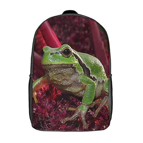 Cartable enfant 17 pouces avec motif grenouille imprimé en 3D rigolo